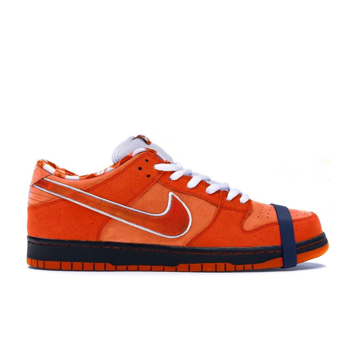 [Concepts x NIKE] 콘셉트 x 나이키 덩크 로우 오랜지 랍스타 Nike SB Dunk Low “Orange Lobster” FD8776-800